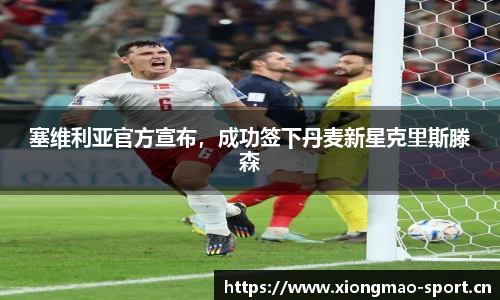 熊猫体育官网