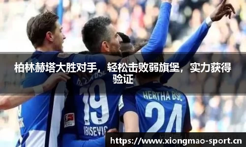 熊猫体育官网