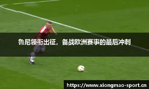 熊猫体育