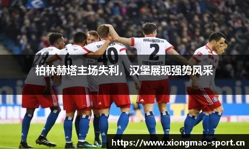 熊猫体育官网
