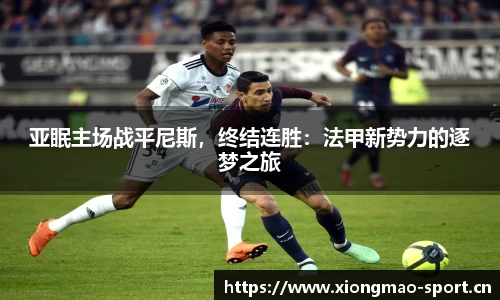 熊猫体育官方网站