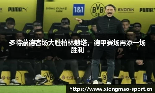 熊猫体育平台