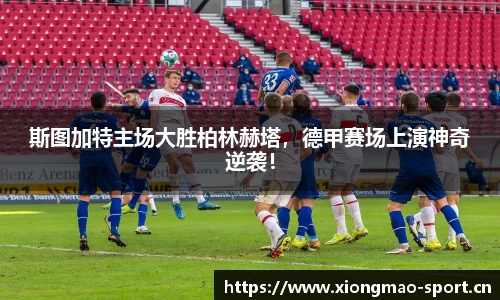 熊猫体育平台