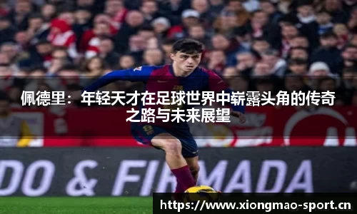 熊猫体育官网