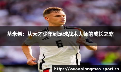 熊猫体育官网