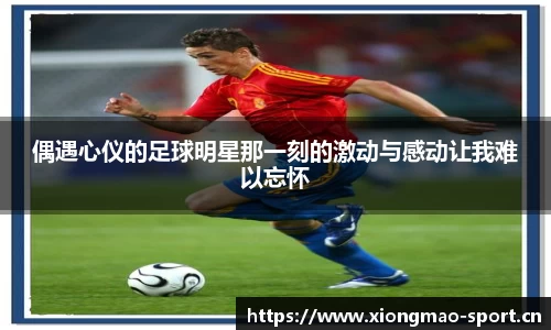 熊猫体育官网